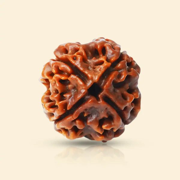 4 Mukhi